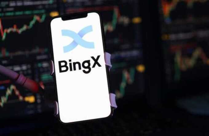  BingX :      